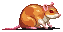 bigrat