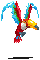 tropicalbird
