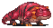 tropicallizard
